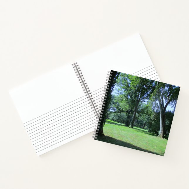 Cuaderno Entrando en Greenwood (Interior)