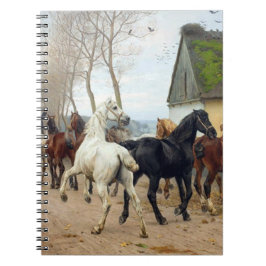 Cuaderno Envase de caballos alrededor de 1878
