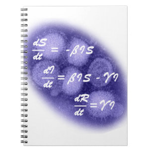 Cuaderno Epidemiología SIR