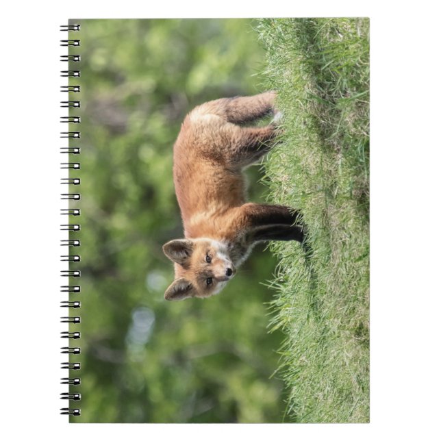 Cuaderno Equipo del Fox rojo (Frente)