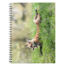 Cuaderno Equipo del Fox rojo