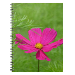 Cuaderno Equipo portátil Cosmos