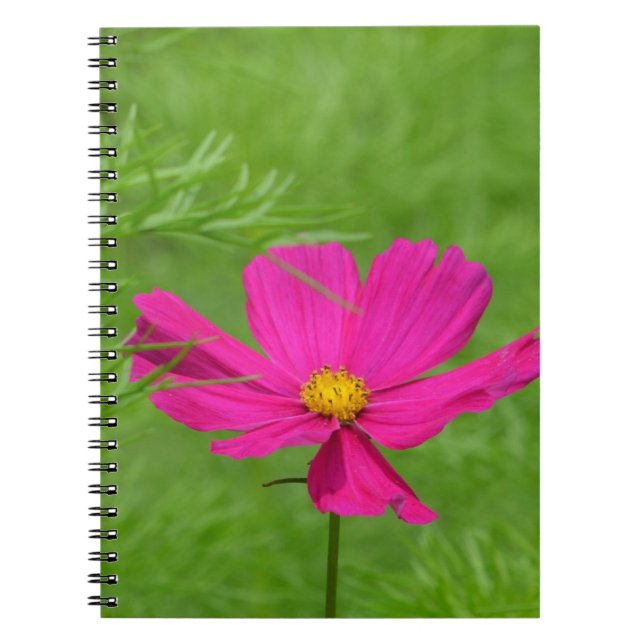 Cuaderno Equipo portátil Cosmos (Frente)