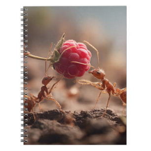 Cuaderno Equipo portátil de trabajo en equipo Ants Raspberr