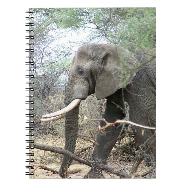 Cuaderno Equipo portátil elefante (Frente)
