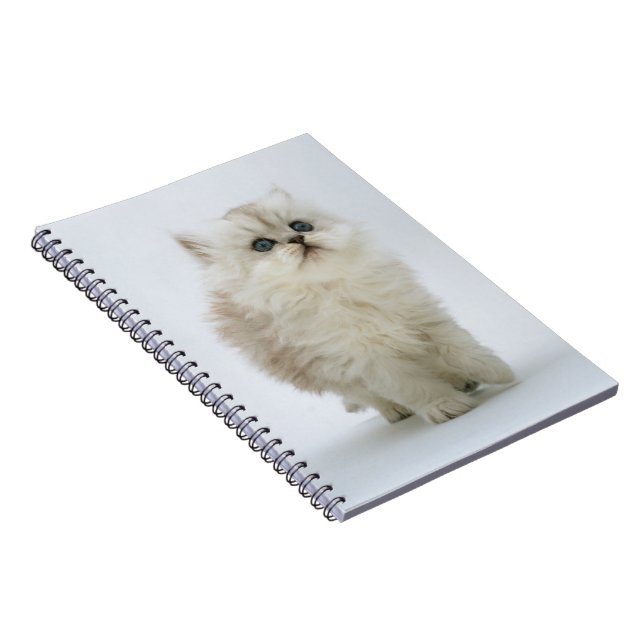 Cuaderno Equipo portátil-gatito (Lado Derecho)