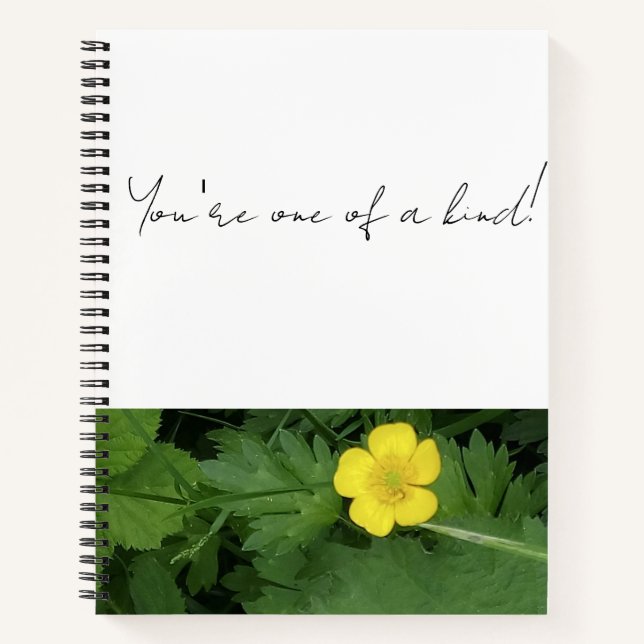 Cuaderno ¡Eres una especie! (Anverso)