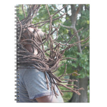 ERIC SMITH Y LAS POCAS RAÍCES