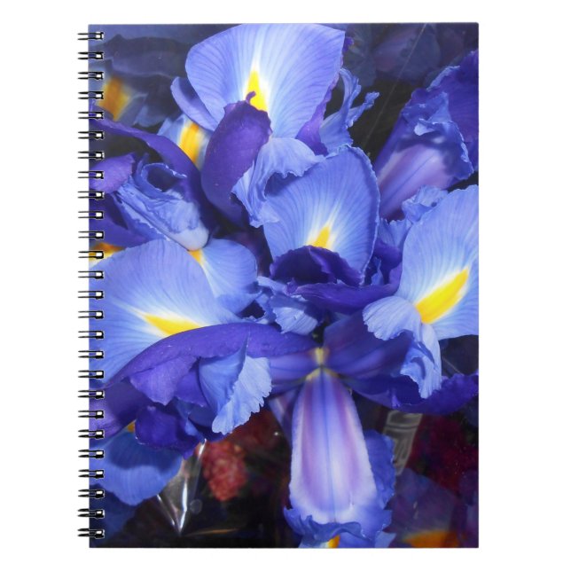 Cuaderno Ermengarde (Frente)