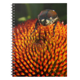 Cuaderno Error en la flor