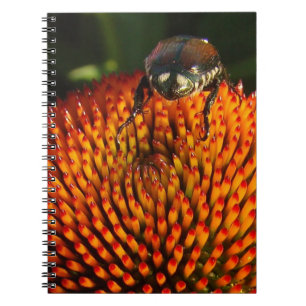 Cuaderno Error en la flor