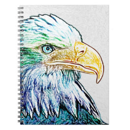 Cuaderno Esbozo de águila colorida