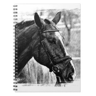 Cuaderno Esbozo de caballos blancos negros