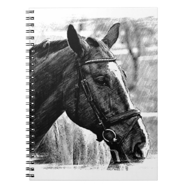 Cuaderno Esbozo de caballos blancos negros (Frente)