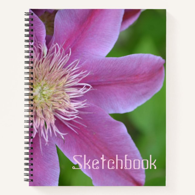Cuaderno Esbozo De Clematis Rosa (Anverso)