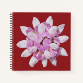 Cuaderno Esbozo de la corona #1