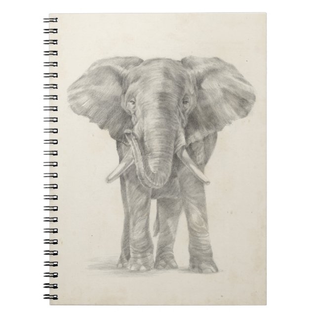 Cuaderno Esbozo elefante (Frente)