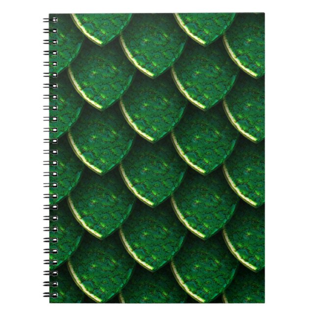 Cuaderno Escala del Dragón Verde (Frente)