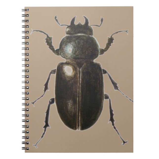 Cuaderno Escarabajo de macho 2011 (Frente)