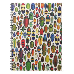 Cuaderno Escarabajos ilustrados de color