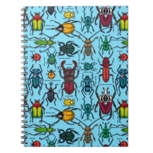Cuaderno Escarabajos sobre azul