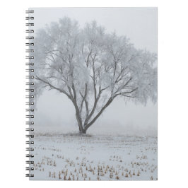 Cuaderno Escarcha sobre un árbol solitario