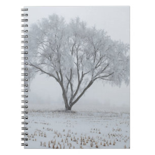 Cuaderno Escarcha sobre un árbol solitario