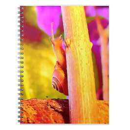 Cuaderno Escarnio