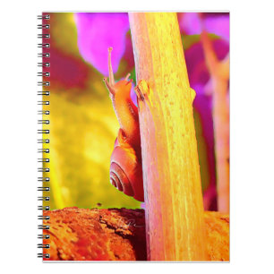 Cuaderno Escarnio