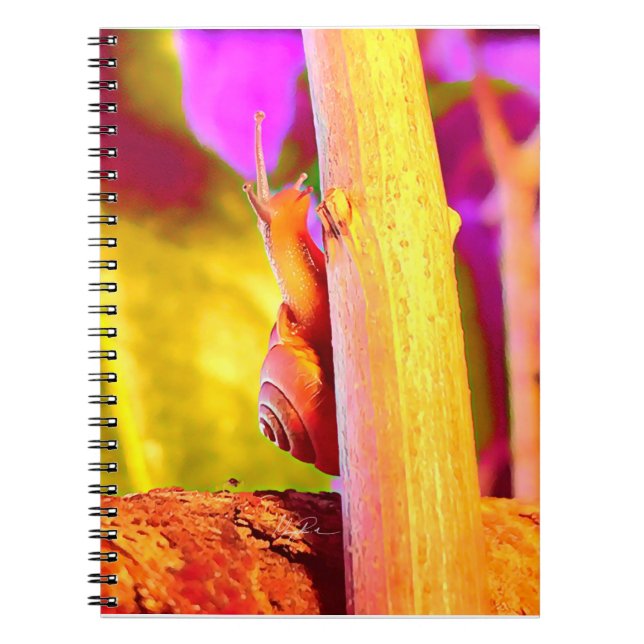 Cuaderno Escarnio (Frente)