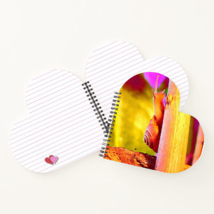 Cuaderno Escarnio