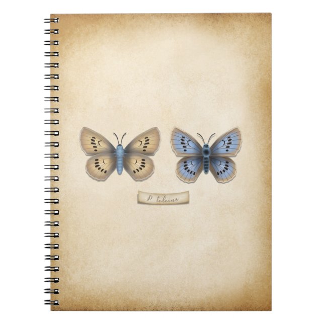 Cuaderno Escasez de mariposa azul grande Modelo de cosecha  (Frente)