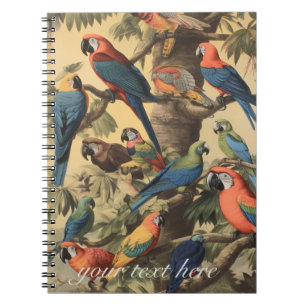 Cuaderno Escena botánica vintage loros coloridos en un árbo