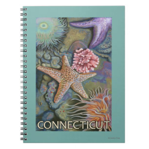 Cuaderno Escena de ConnecticutTidepool
