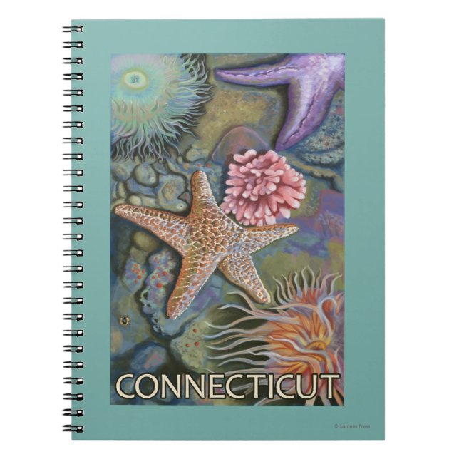 Cuaderno Escena de ConnecticutTidepool (Frente)