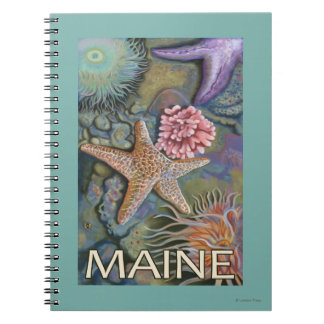 Cuaderno Escena de MaineTidepool