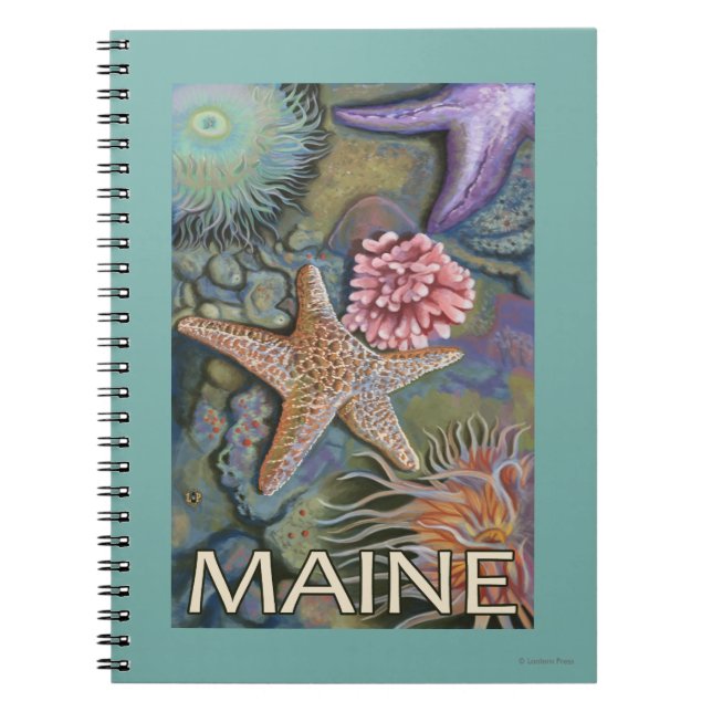 Cuaderno Escena de MaineTidepool (Frente)