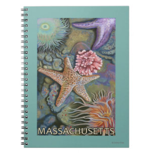 Cuaderno Escena de MassachusettsTidepool