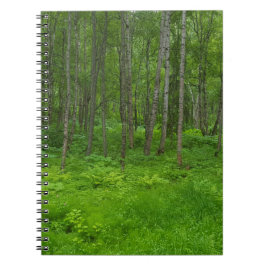 Cuaderno Escena de paisaje forestal verde exuberante
