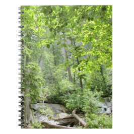 Cuaderno Escena mágica del bosque verde.
