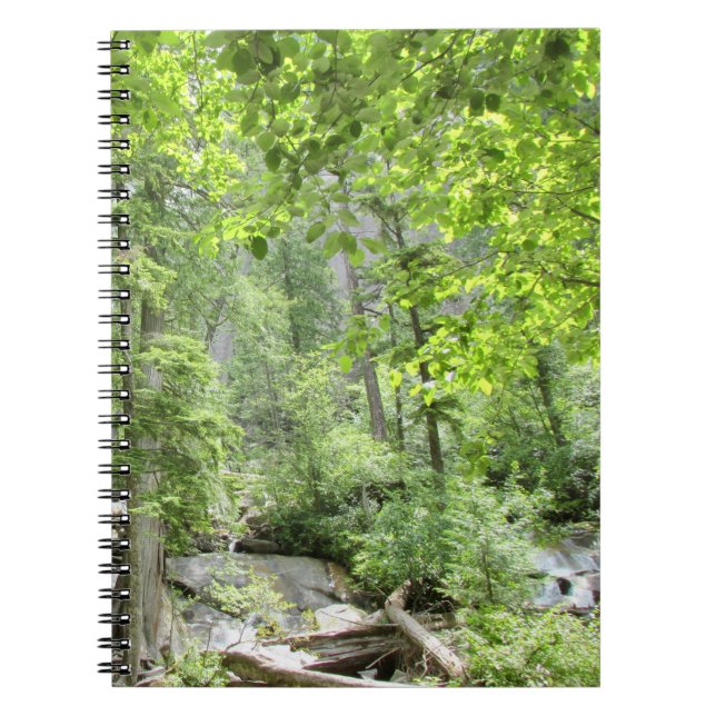 Cuaderno Escena mágica del bosque verde. (Frente)