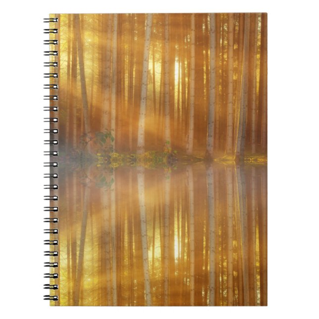 Cuaderno Escenario de Bosque Misty (Frente)