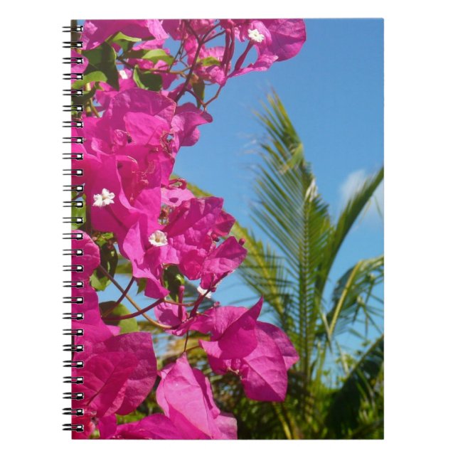 Cuaderno Escenario natural tropical de buganvillas y palmer (Frente)