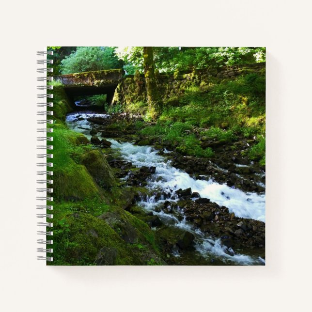 Cuaderno Escorrentía de Wahkeena Falls, OR (Anverso)