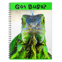 ¿Escritura espiral de Iguana de cuaderno?
