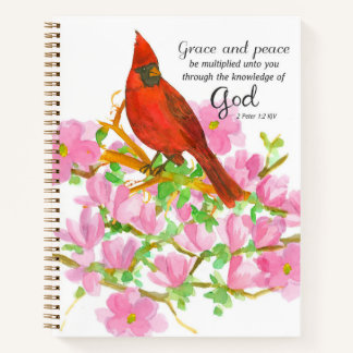 Cuaderno Escritura religiosa 2 Pedro Cardenal Magnolia Reza