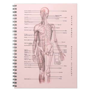 Cuaderno Escuela personalizada diagrama médico humano de la