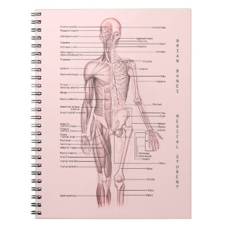 Cuaderno Escuela personalizada diagrama médico humano de la