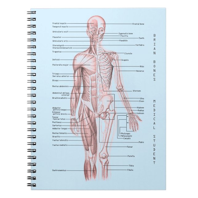 Cuaderno Escuela personalizada diagrama médico humano de la (Frente)