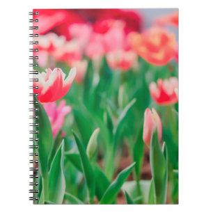 Cuaderno Esfera selecta, naturaleza asombrosa de la hermosa